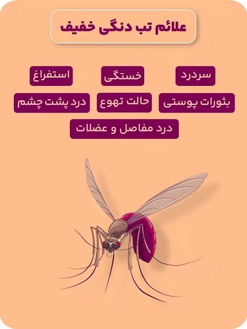 تب دنگی چیست ؟